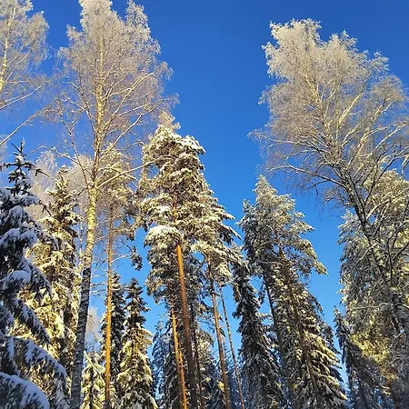 Puharila Πανσιόν *