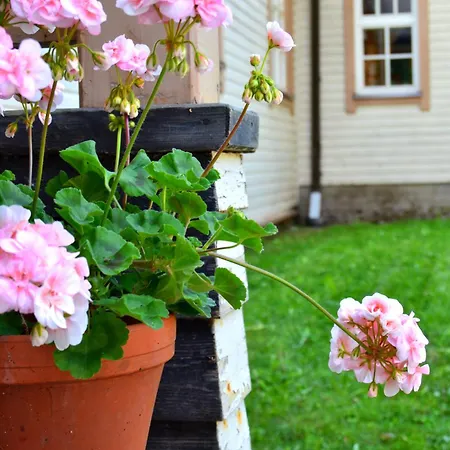 Puharila 招待所 *